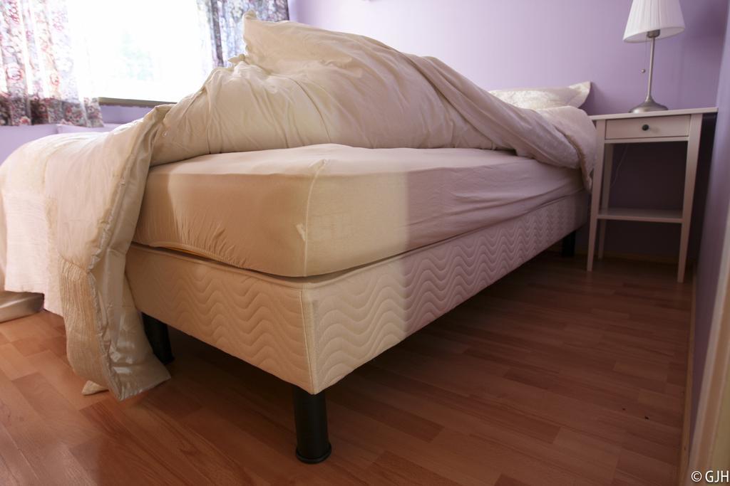 Apartment Tungata Seyðisfjörður Dış mekan fotoğraf